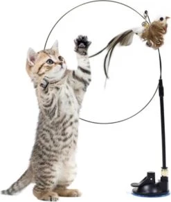Kattenspeeltje – Kattenhengel – Kattenspeeltjes – Hengel Met Vogel – Huisdieren Speeltjes – Katten