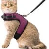 Kattentuigje Met Leiband Riem Kattenharnas Paars Maat L Kat & Kitten – Dieren Kattenriem – Cat Leash – Halsomvang 24 Tot 33cm – Borstomvang 36 Tot 41cm – Zootic®