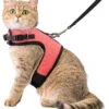Kattentuigje Met Leiband Riem Kattenharnas Roze Maat L Kat & Kitten – Dieren Kattenriem – Cat Leash – Halsomvang 24 Tot 33cm – Borstomvang 36 Tot 41cm – Zootic®