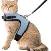 Kattentuigje Met Leiband Riem Kattenharnas Blauw Variant Maat M Kat & Kitten – Dieren Kattenriem – Cat Leash – Halsomvang 20 Tot 26cm – Borstomvang 30 Tot 34cm – Zootic®