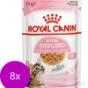 Royal Canin Kitten Sterilised Jelly – Kitten-Kattenvoer – 8 X 12×85 G