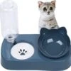 Verhoogde Kattenbak 2-in-1 Kattenvoerbak Met Waterdispenser Katten, Kattenbakset 15° Kantelbaar Met Automatische Waterfles Voor Kleine En Middelgrote Honden En Katten