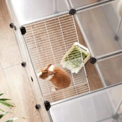 Buitenbehuizing Dieren – Huisdieren Kooi – Huisdieren – Dierenhuis – Hamster – Cavia – Konijnen – Transparant
