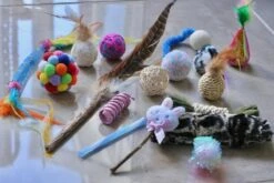 Leer Je Kitten Kennen Speelgoed Pakket – 17 Delig Kitten Speelgoed Pakket – Kitten Speelgoed – Katten Speelgoed Set