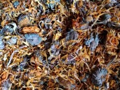 Kruidenbox Konijn – Goudsbloem – Konijnenvoer