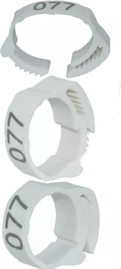 Pluimveeringen – Verstelbaar – 20 Mm – Genummerd – 50 Stuks – Kippenringen – Vogelringen – WIT