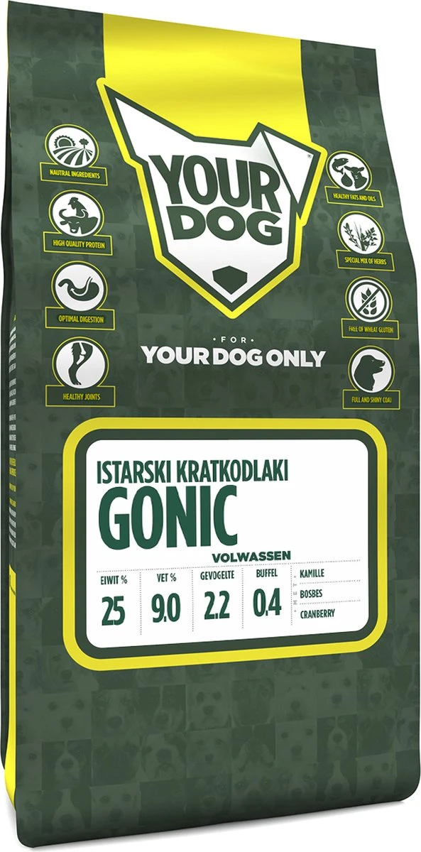 Yourdog Istarski Kratkodlaki Gonic Volwassen (3 KG) 1 Yourdog Istarski Kratkodlaki Gonic Volwassen (3 KG)