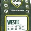 Yourdog Westie Volwassen (3 KG)