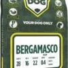 Yourdog Bergamasco Pup (3 KG)