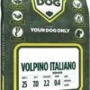 Yourdog Volpino Italiano Senior
