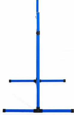 PawHut Behendigheid Hordenset Slalomstokset Honden 4 X Horden Oefening Incl. Tas Blauw D07-018BU