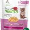Natural Trainer Cat Kitten Chicken Kattenvoer 2x 300 Gr